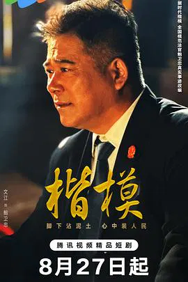 【国产剧】楷模
